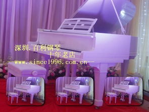 深圳百利二手鋼琴 晶報(bào)專(zhuān)題采訪(fǎng)企業(yè)的成功之道