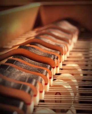 樂(lè)器養(yǎng)護(hù)之樂(lè)器之王——鋼琴